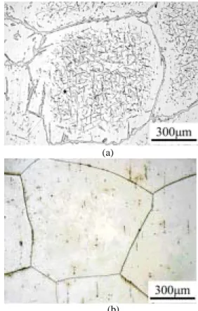 Figure  1(a)  is  an  optical  micrograph  (OM)  of  the  Fe-Mn-Al alloy heated at 1573 K in an argon atmosphere  for 30 minutes and then air-cooled to room temperature
