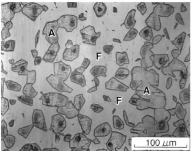 Figure  5.  The  light  micrograph  (LM)  of  the  Fe-Mn-Al alloy after heated at 1050 ο C for an  hour then cooled at a rate of 50 ο C per hour to  room temperature