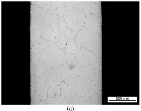 圖 1 1 mm 合金於 1300℃以氬氣保護持溫三十分鐘後，快速淬入冰鹽 水中之(a)截面及(b)表面金相圖。