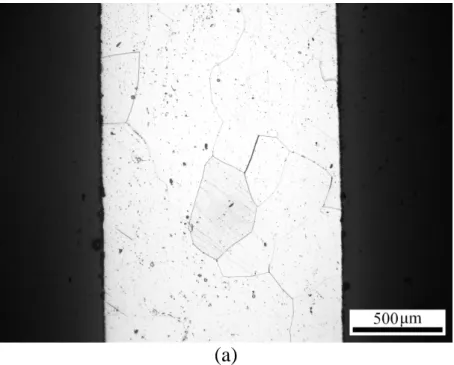 圖 2 1 mm 合金於 1300℃以氬氣保護持溫三十分鐘後，快速淬入室溫 水中之(a)截面及(b)表面金相圖。