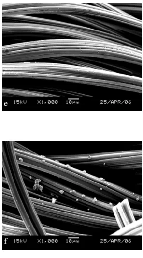 Fig. 4 SEM mircrographs of ACF and ACF-Ag.