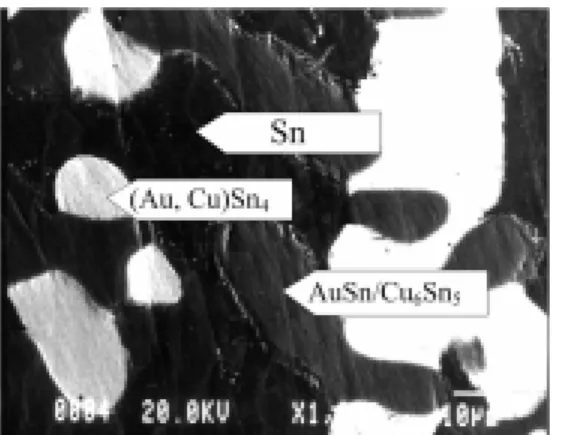 Fig. 5.6 BEI micrograph of alloy 1 (Sn-10%Au-10%Cu). 
