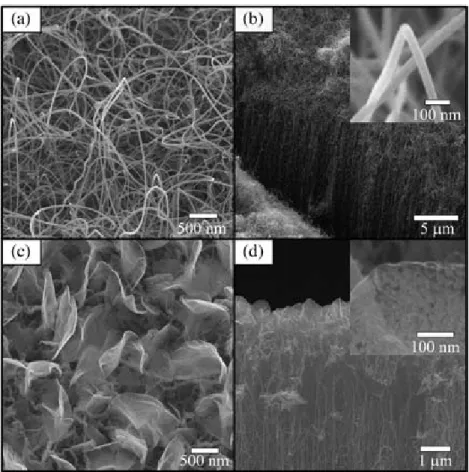 Fig. 1. (a) The SEM image of top view of MWCNT; (b) the cross view of MWCNT. The inset of (b) is a magniﬁed image of the upper section