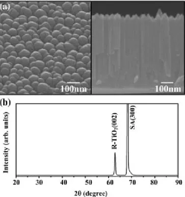 Fig. 2. Schematic plots of the lattice relationships between vertically aligned rutile TiO 2