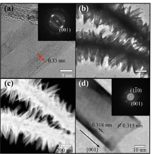 Figure 3. (a) The HRTEM image of MWCNTs; the inset is the FFT pattern. (b) The low magnification TEM image of IrO 2 NT/MWCNT.