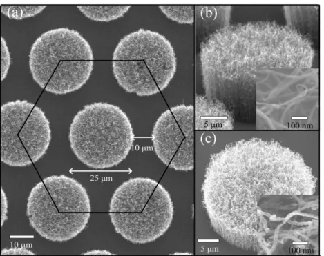 Figure 2. The FESEM images of (a) the patterned vertically aligned CNTBAs and (b) vertically aligned CNT bundles; the inset shows the surface of the pristine CNTs