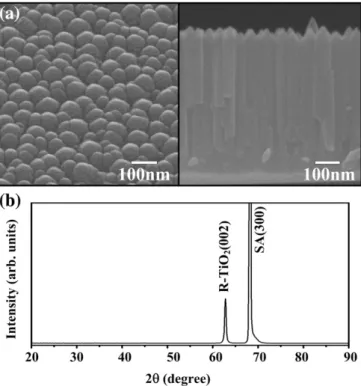 Fig. 2. Schematic plots of the lattice relationships between vertically aligned rutile TiO 2