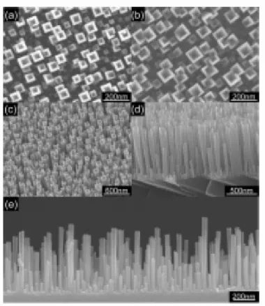 Fig. 7. FESEM images of the vertically aligned IrO2 nanotubes grown on the sapphire(100) substrate