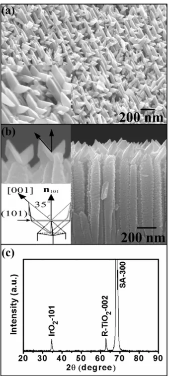 Fig. 1. FESEM images of IrO 2  NCs deposited on top of TiO 2 (001) NRs: (a) 30˚ perspective view and (b)  cross-sectional view images, the insets show the orientation relationship between IrO 2  [001] and the  preferred orientation of (101) plane