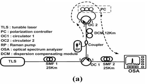 Fig.  2-1 Configurations design of three types distributed RFA’s with (a)  signal/pump double pass pumping scheme