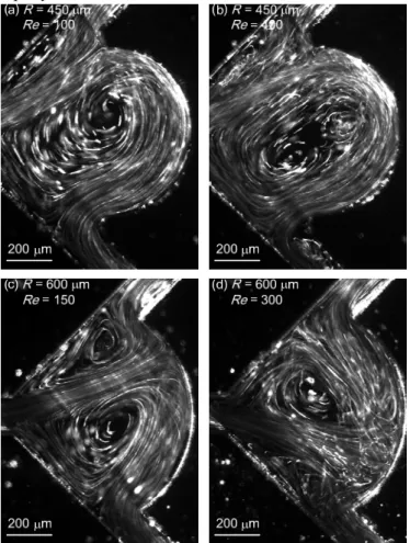 Fig. 5 Image of the concentration field, R = 450 μm, Re =  250, sudden-expansion confluence