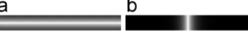 Figure 2a compared the enlarged cross-sectional views of normalized PSF of LAP-EPI using four  k-space weighting schemes ( λ = 0, 0.1, 0.2, and 0.5) at 30 Hz off-resonance