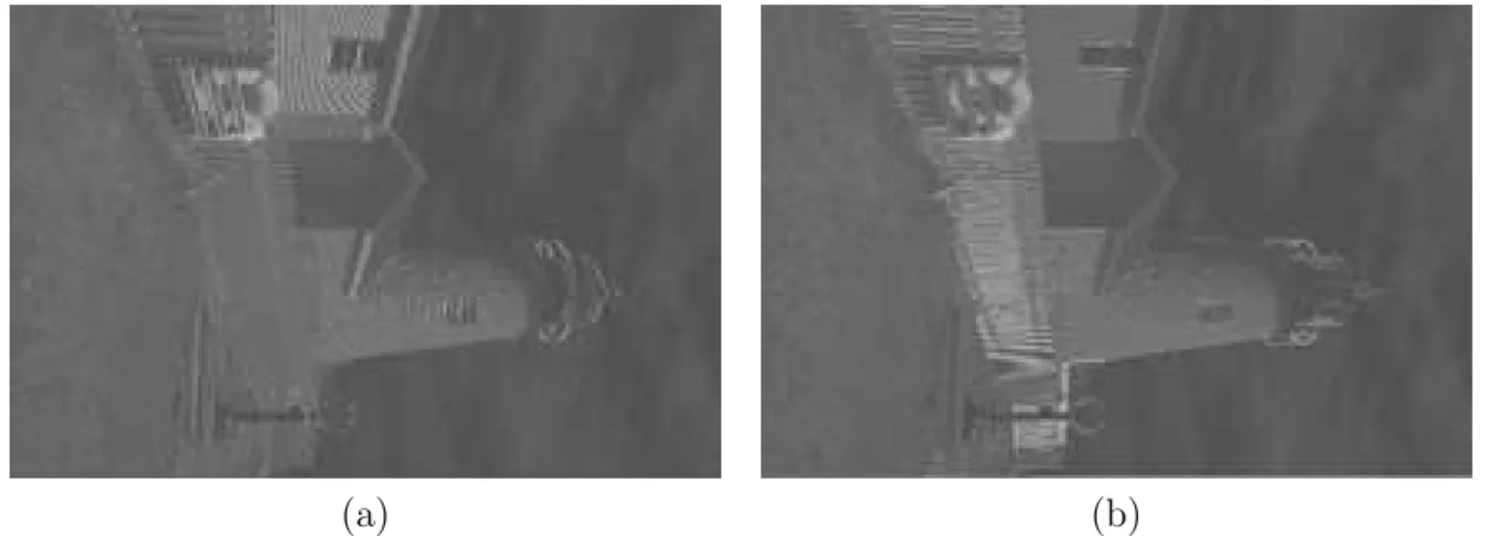 Fig. 12: The two SSC maps of the mosaic Lighthouse image. (a) The horizontal SSC map. (b) The vertical SSC map