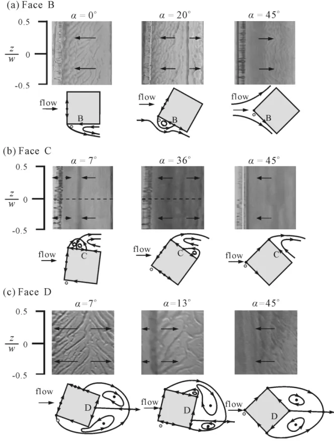 Fig.  4  Surface-oil  flow  patterns  of  square  cylinder  under  control  of  galloping rod