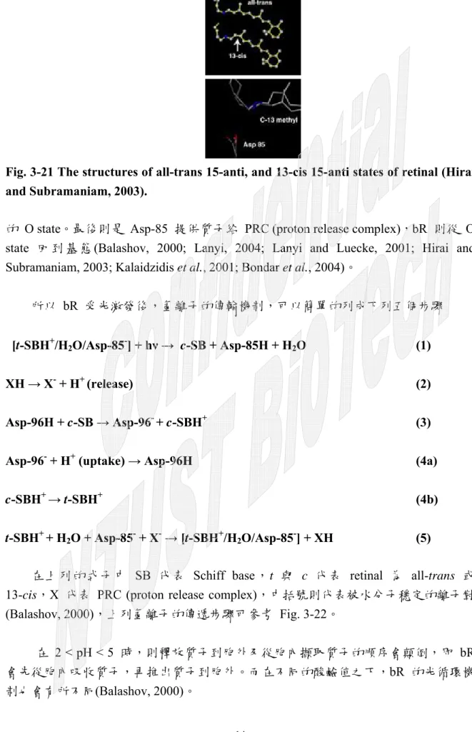 Fig. 3-21 The structures of all-trans 15-anti, and 13-cis 15-anti states of retinal (Hirai  and Subramaniam, 2003)