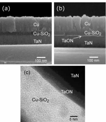 Fig. 1. Cross sections of (a) Cu/Cu‒ SiO 2 /TaN cell and (b) Cu/Cu‒ SiO 2 /TaON/TaN cell