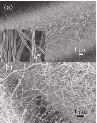 Figure 10 SEM images of (a) the as-grown SnO 2 NW encasing a carbon fiber, and the as-received  carbon fibers (the inset), (b) the Pt/Sn/SnO 2 NW/CP of which 0.1 mg cm -2  Pt was electrodeposited on  the Sn/SnO 2 NW/CP which was reduced at 400C for 2.0 h