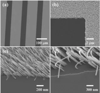 Fig. 10 SEM images of three aligned RuO 2