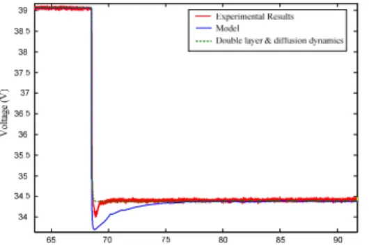 Figure 6: Simulation and experimental voltage evolution after a positive  current step