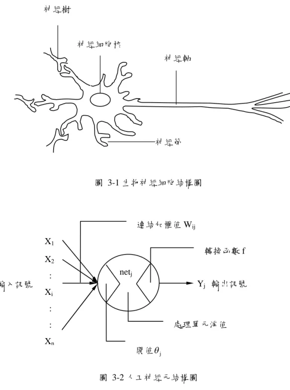 圖 3-1 生物神經細胞結構圖 圖 3-2 人工神經元結構圖 類神經網路是由許多的人工神經細胞 (Artificial Neuron) 所組成，人工神經細胞 又稱類神經元、人工神經元或處理單元(Processing Element)。每個處理單元的輸出 以扇狀送出，成為其他處理單元的輸入。圖 3-2 表示一個人工神經元結構圖。處理單 元為類神經網路組成之基本單位。而輸出值與輸入值之間的關係可以下列方程式來表 示： 輸入訊號 Y j 輸出訊號X1X2:Xi::Xnnetj處理單元淨值閥值j連結加權值 Wij