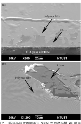 圖 7  將液晶試片拆開後之 SEM 表面微結構  (B 壓克力 單體含量為 0.30 wt%) (a)  上層  (b)  下層之垂直配 向共聚薄膜