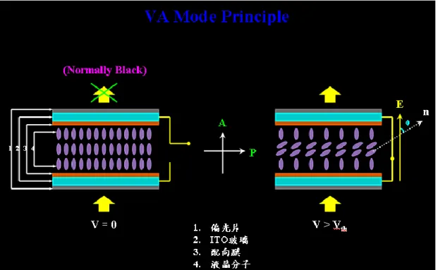 圖 5.    VA 垂直配向之原理圖 