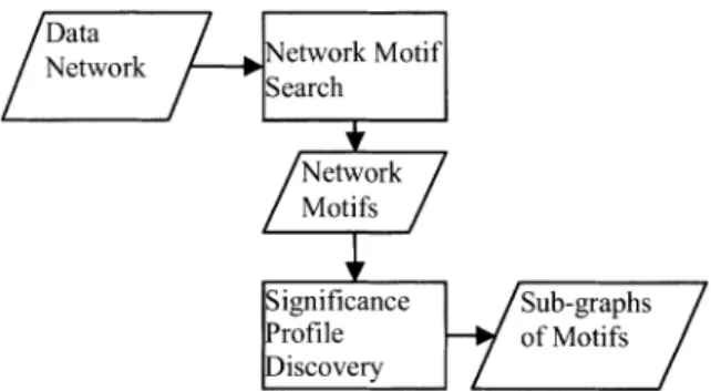 Figure 1. The system architecture of network motif model