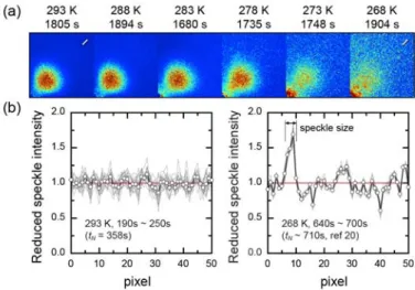 Figure 11  (a) Speckle patterns and the temporal fluctuations of speckle intensity on crossing the  metastability limit