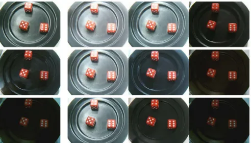 Fig. 4. First column from the left is the training set with 3 illumination conditions;