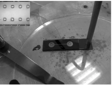 Figure 1: Chip containing microchannel after anodic bonding. The small inset demonstrated the pillars formed during the second stage ICP etching.