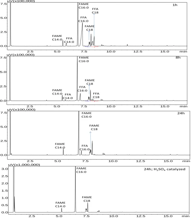 Figure 2. Chromatograms of SCW-SCM and acid catalyzed in-situ transesterification and of  activated sludge 