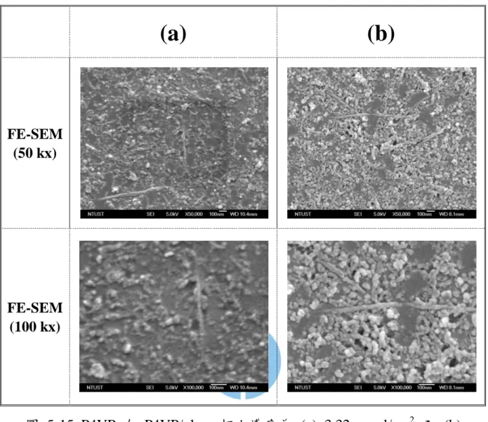 圖 5-15  P4VP  在 P4VP/glass  板上濃度為  (a)  3.32  μmol/cm 2   及  (b)  5.04  μmol/cm 2  下 所 製 備 之 PF-SWNT/P4VP/glass 基 板 之 FE-SEM 圖。  (a)  (b) FE-SEM(50 kx) FE-SEM(100 kx) 