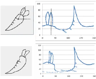 Figure 1. Example sketches with corresponding features.