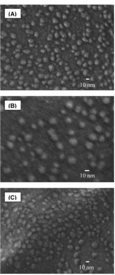 Figure 3. SEM micrographs of (A) poly(HNBMQ-b-HNBMO)-1, (B) poly(HNBMQ  -b-HNBMO)-2, and (C) poly(HNBMQ-b-HNBMO)-3
