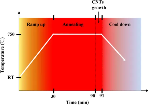 Figure 1. The curve of temperature versus time for VACNTs growth. 