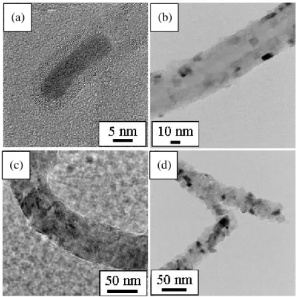Figure 4. SEM images of pristine and MgO-coated CNTs on quartz substrate. (a) The tip of pristine CNT