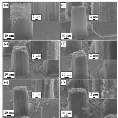 Fig. 3. The SEM images of the (a) pristine VACNT bundles, and the VACNT bundles 