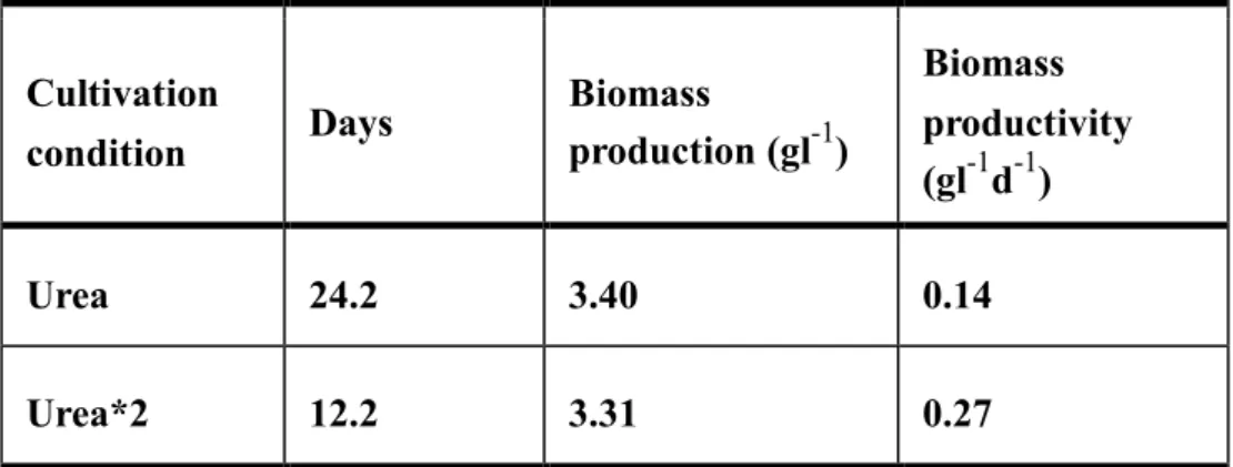 圖 2-1 Chlorella sp. ESP-6 SEM 圖