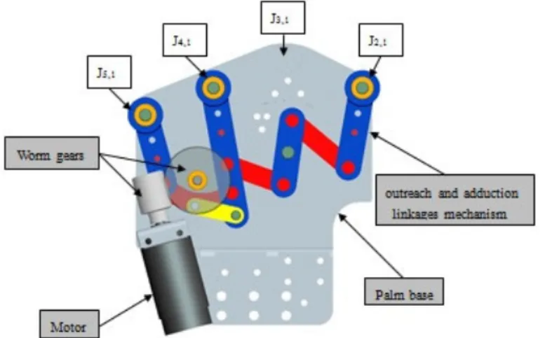Fig. 10 Fingers outreach and adduction mechanism design 
