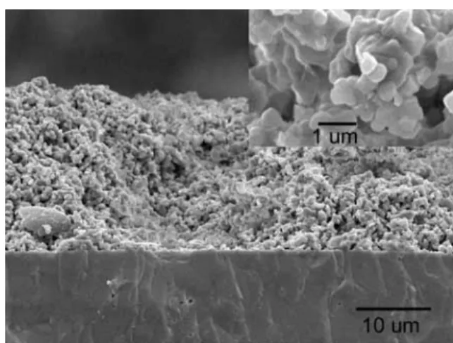 Fig. 6. Cross-section of the thick Ni-YSZ anode prepared by screen printing of NiO-YSZ