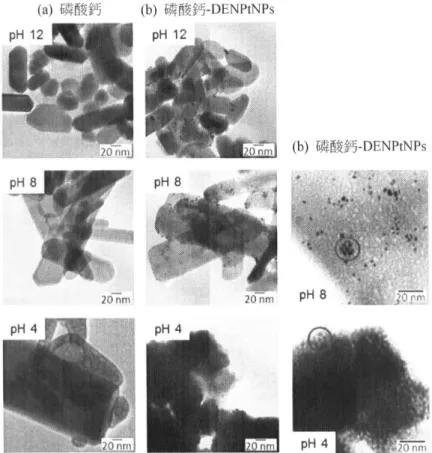 圖 11 顯示使用催化劑-pHx 為反應溶液在 C o =10ppm 以及在 25℃下，PO 4 3- ：NH 2 莫耳比 對甲醛分解的影響。 圖 12 顯示使用催化劑-pHx 為反應溶液在 PO 4 3- ：NH 2 莫耳比為 1：1 以及在 25℃下，初 始甲醛濃度對甲醛分解的影響。 圖 13 顯示使用催化劑-pHx 為反應溶液(初始濃度為 10ppm)在 PO 4 3- ：NH 2 莫耳比為 1：1 以及 C o =10ppm 下，溫度對甲醛分解的影響。 圖 14 說明甲醛的催化氧化分解機制。 (3)