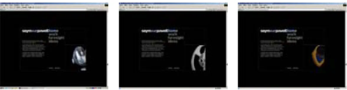 Figure 2. Five Website Designs for the Second Experiment 