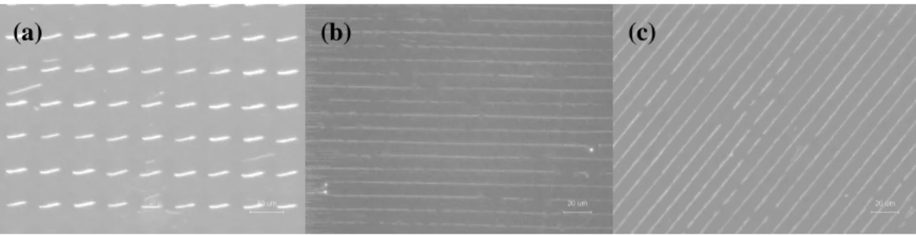 Figure 2 shows the DNA nanostrands generated using the PDMS stamps with different center-to-center distance between microwells