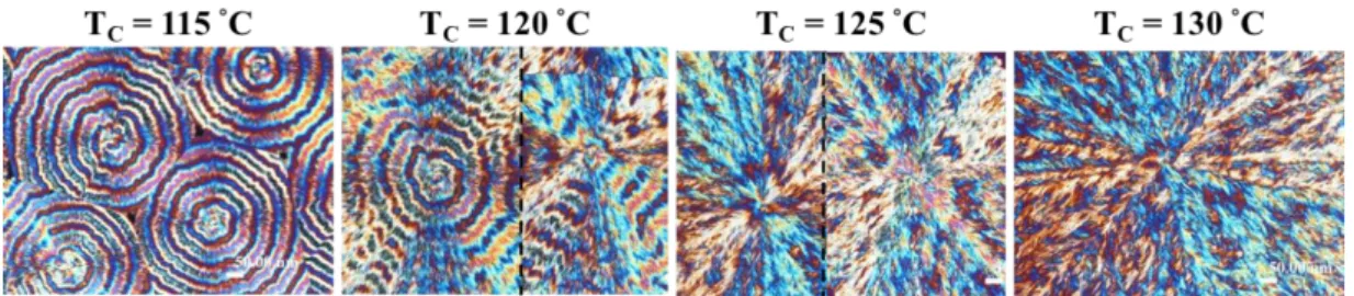 Figure 1. POM images of PLLA/PEO/aPMMA (80/10/10) crystallized at different crystallization temperatures: 