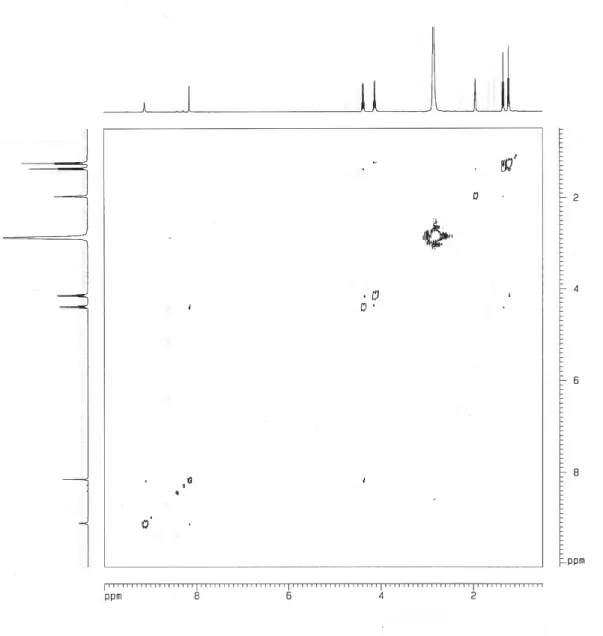 Fig. 1. NOESY of E-2 in CD 3 CN