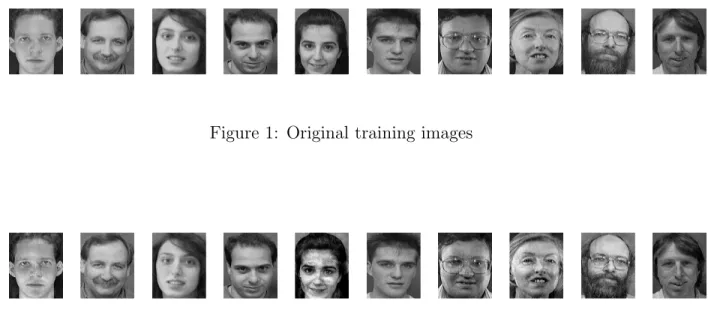 Figure 1: Original training images