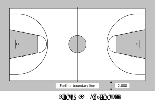 Diagram 11  Playing court 