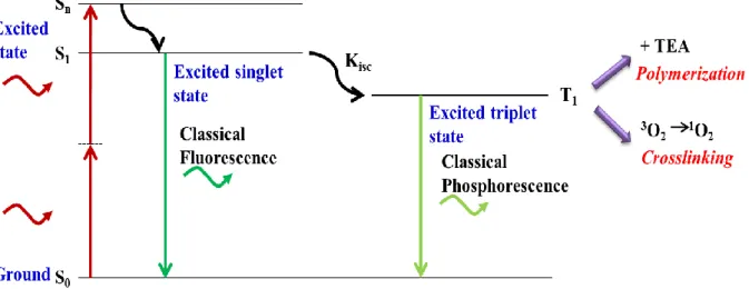 Figure 2-1 Jablonski diagram of RB with two-photon excitation. 