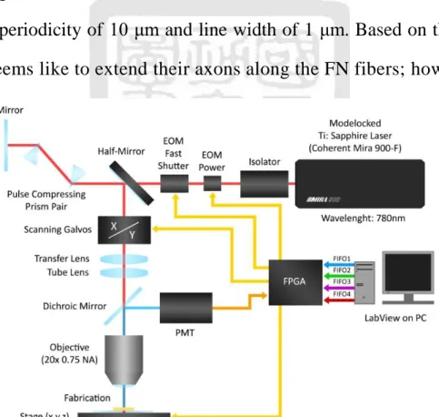 Figure  2-3  Optical  configuration  of  the  fabrication  system,  incorporating  separate EOMs for power control and rapid shuttering and an FPGA for control  of the fabrication process [66]