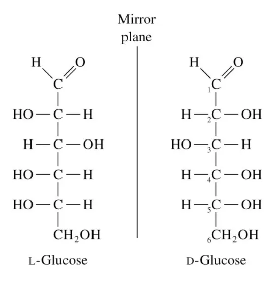 Fig 8.4  Fisher projections of L- and D-glucose